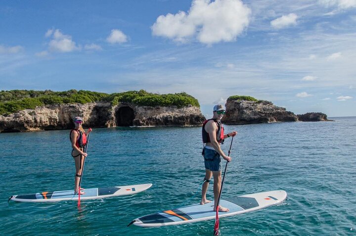 Paddleboarding in the Mangrove