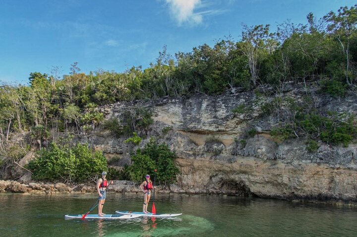 Paddleboarding in the Mangrove