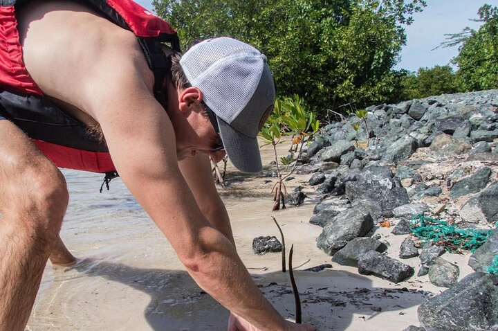 Paddleboarding in the Mangrove