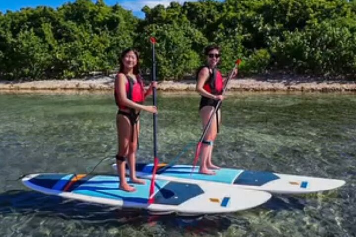 Paddleboarding in the Mangrove