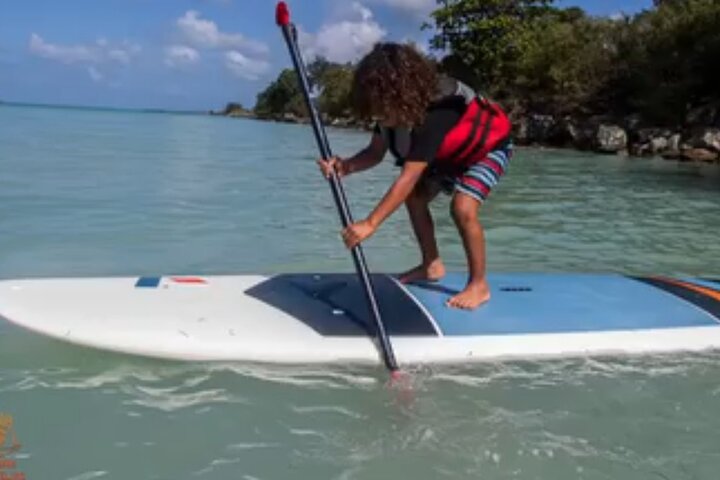 Paddleboarding in the Mangrove