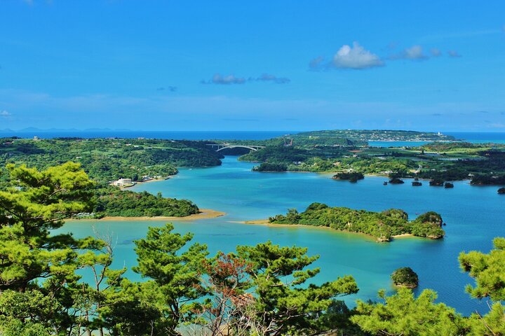 Matsushima: Scenic Bay Walk & Historic Temple Discovery