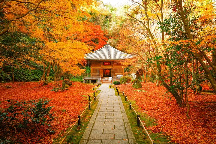 Matsushima: Scenic Bay Walk & Historic Temple Discovery
