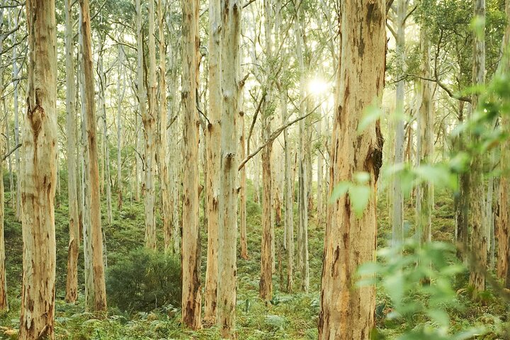 Margaret River, Caves, Wine and Cape Leeuwin Lighthouse Tour from Perth