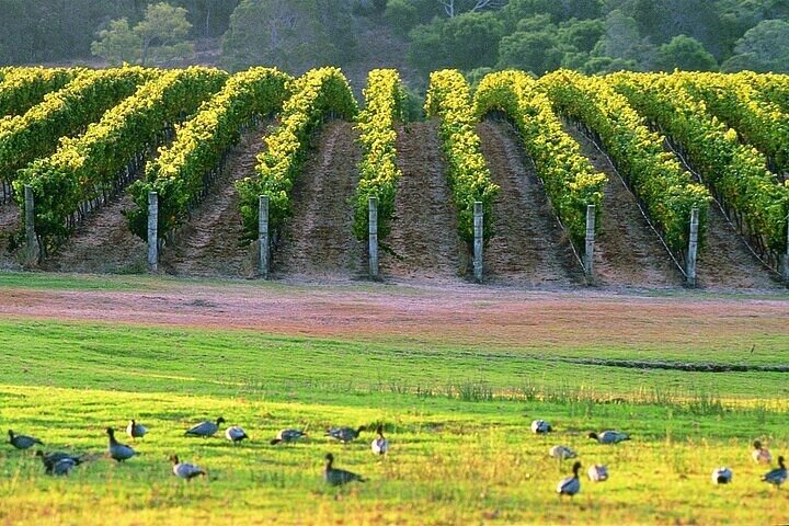 Margaret River, Caves, Wine and Cape Leeuwin Lighthouse Tour from Perth