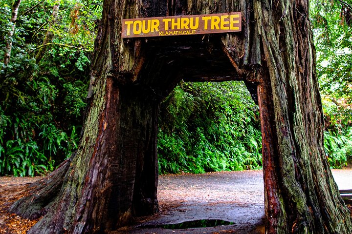 US West National Parks Driving and Walking Audio Tour Bundle