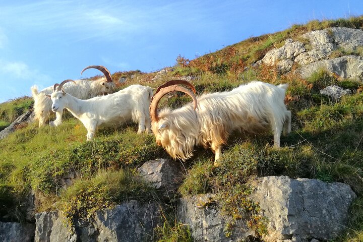 Snowdonia & The 3 Castles Tour