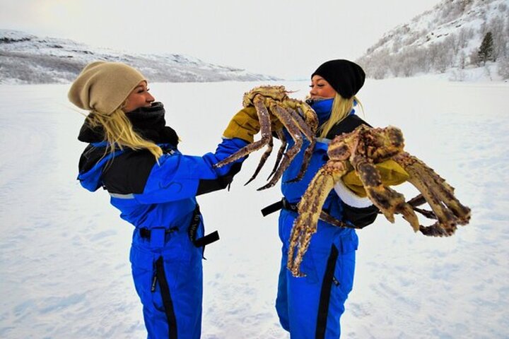 King Crab Safari and visit a Snowhotel from Saariselkä