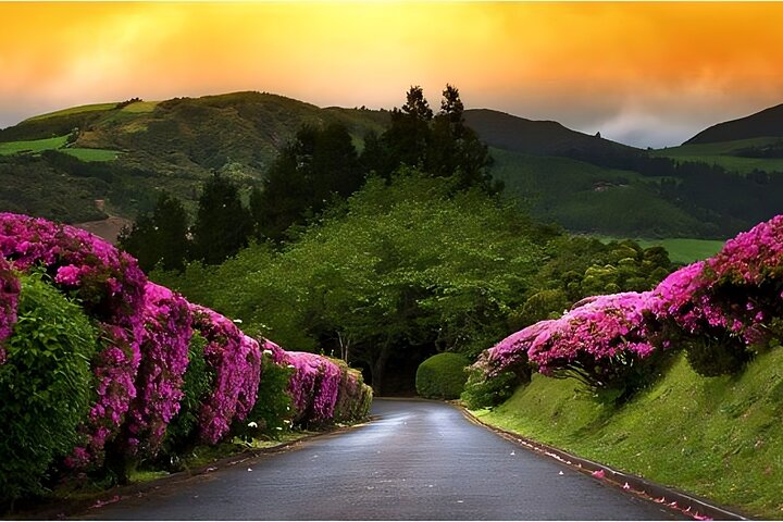 Furnas Volcano & Tea Plantation With Traditional Lunch, East Tour
