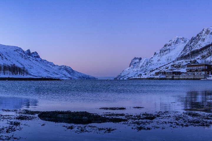 Tromsø: Big Bus Fjord Tour with free photos and wildlife