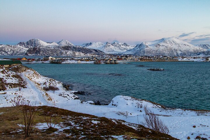 Tromsø: Big Bus Fjord Tour with free photos and wildlife