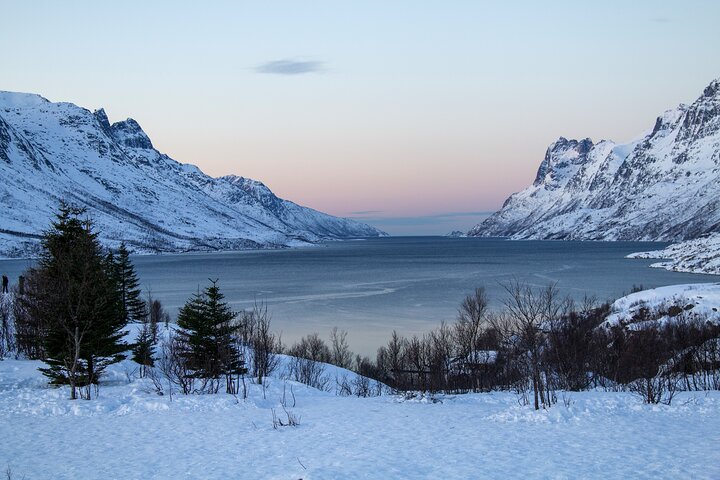Tromsø: Big Bus Fjord Tour with free photos and wildlife
