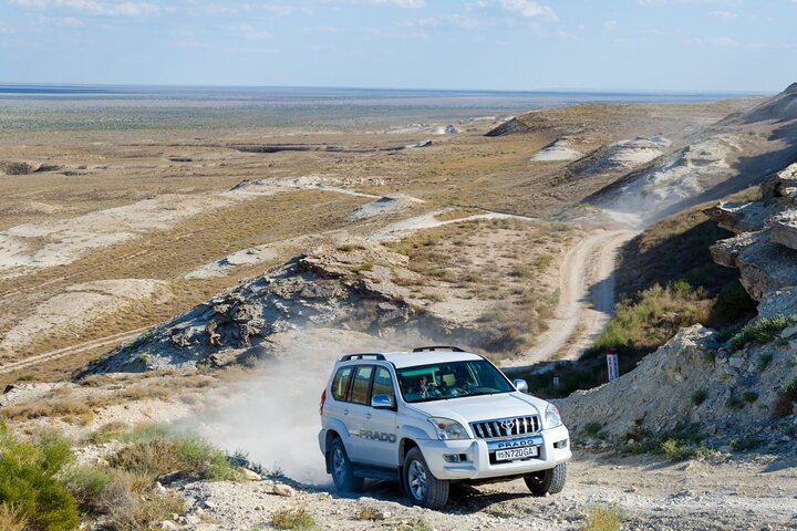 2 Day Aral Sea Eco Tour with Yurt Stay from Nukus