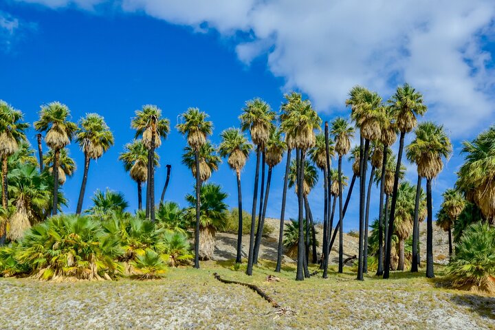 South California Self Guided Driving and Walking Bundle Tour