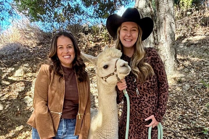 Alpaca Walking Adventure in Scenic Carmel Valley