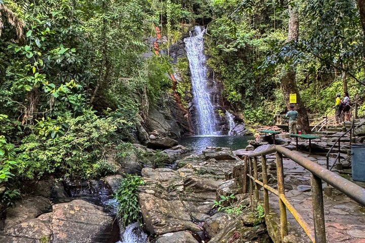 Swim and Unwind at a Scenic Waterfall from Hopkins Village