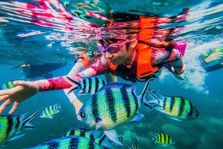 Snorkeling Tour Koh Tao & Koh Nang Yuan from Samui by Speedboat