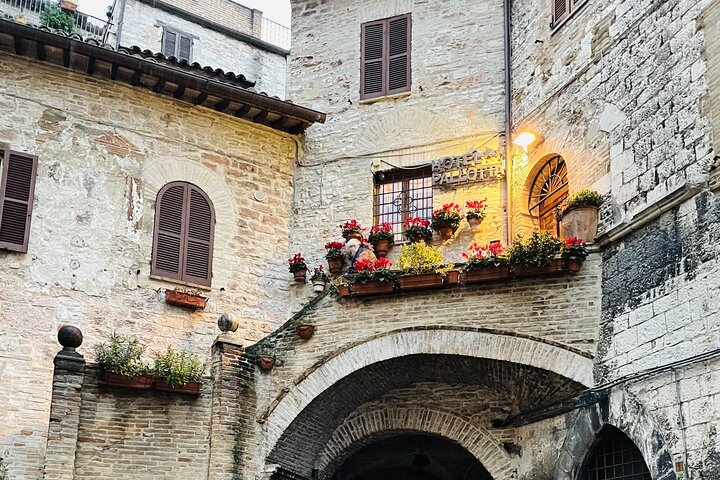 Assisi: Three Saints, St Carlo, Francis & Clare Walking Tour