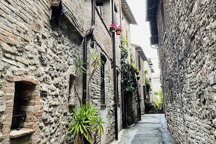 Assisi: Three Saints, St Carlo, Francis & Clare Walking Tour