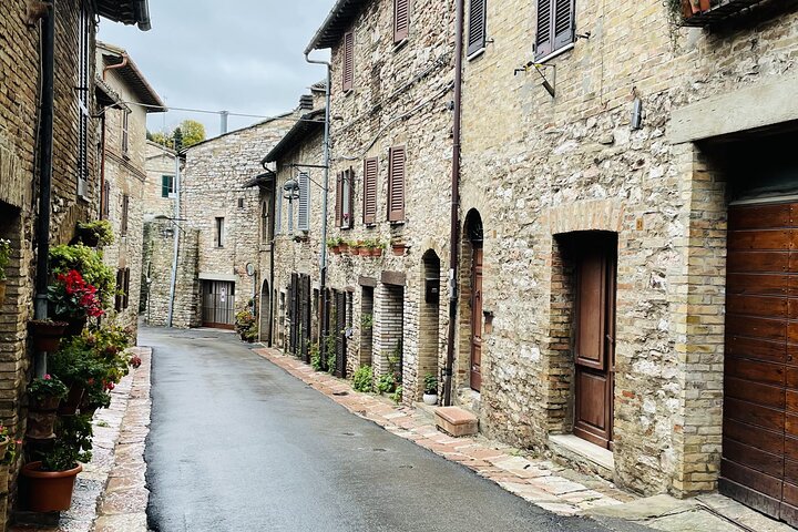 Assisi: Three Saints, St Carlo, Francis & Clare Walking Tour