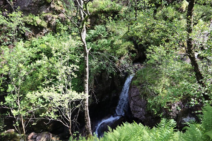 Glencoe: Hidden Valley Guided Hike