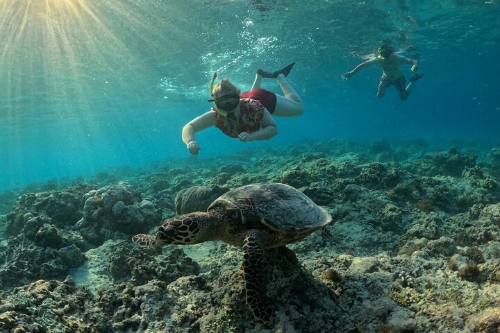 Lombok Private Car Hire with Driver Customizable Tour