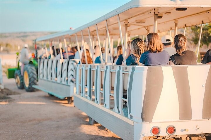 Giraffe Experience and Safari Wine Tour at Grapetown Vineyard