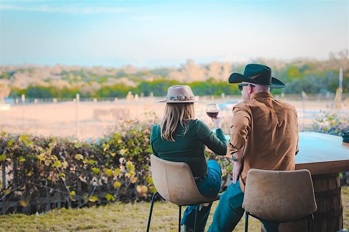 Giraffe Experience and Safari Wine Tour at Grapetown Vineyard