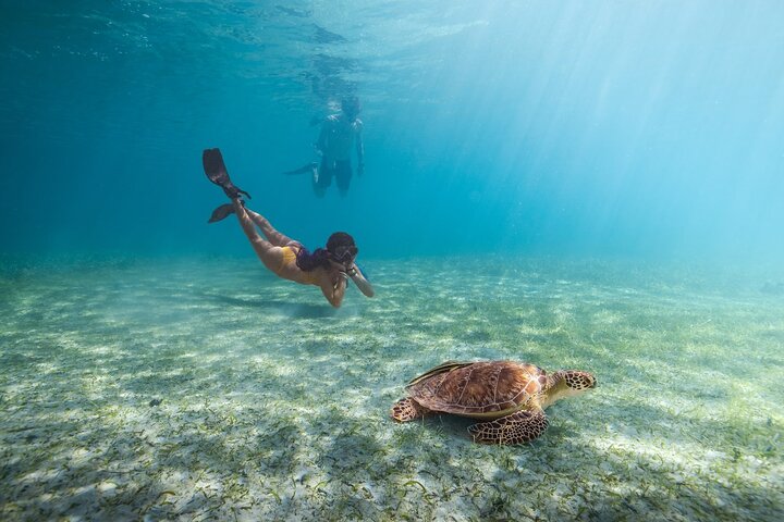 Culebra Snorkel with Turtles & Flamenco Beach Adventure by Ferry