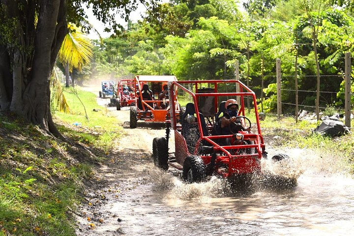 Shore Excursion: Buggy Adventure — Countryside & Local Tasting