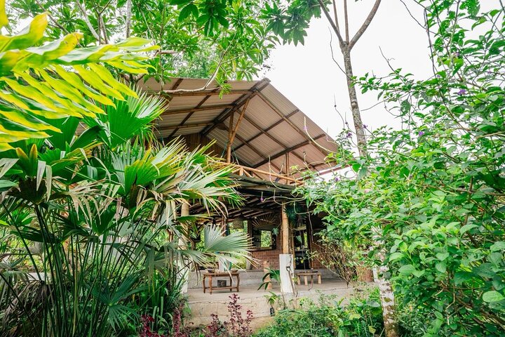 Jungle experiences, 3 days 2 nights