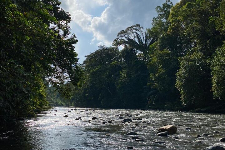 Jungle experiences, 3 days 2 nights