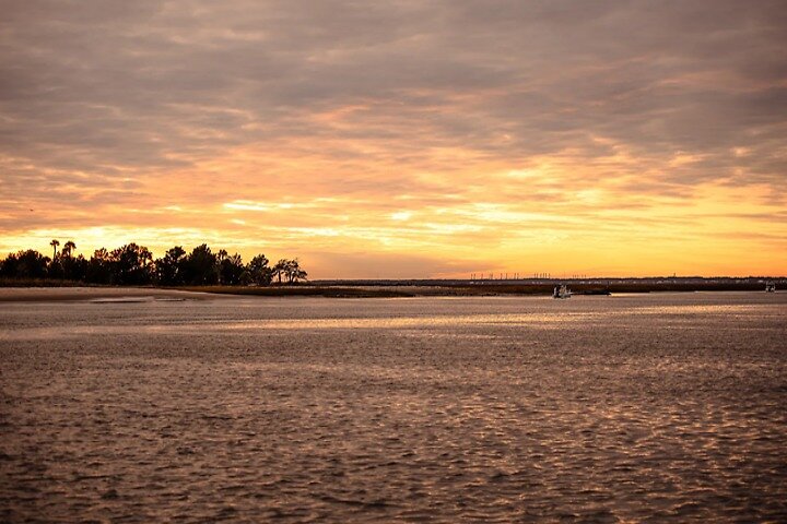 Dolphin Discovery Sunset Cruise