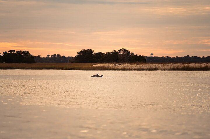 Dolphin Discovery Sunset Cruise