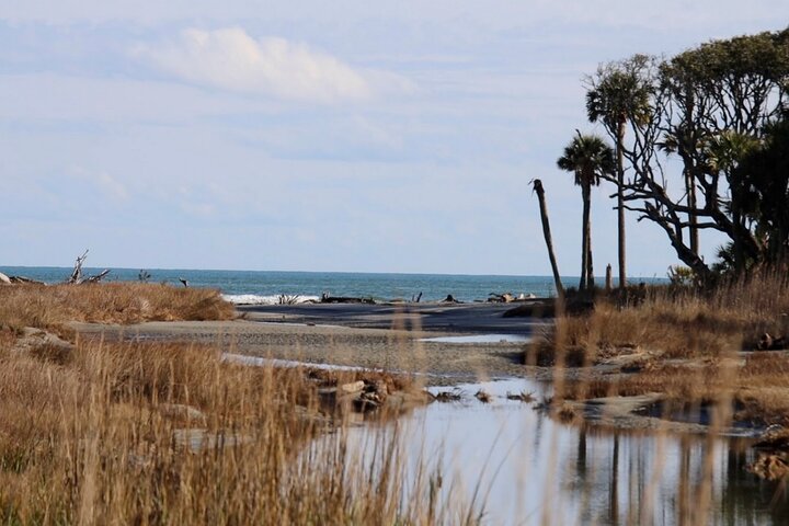 Capers Island Wildlife Exploration