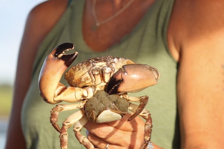Blue Crabbing Excursion