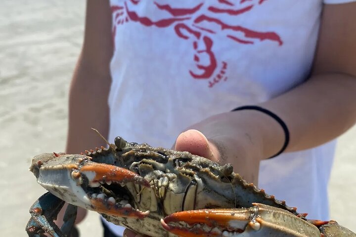 Blue Crabbing Excursion