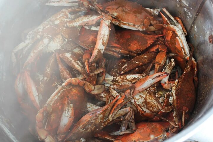Blue Crabbing Excursion