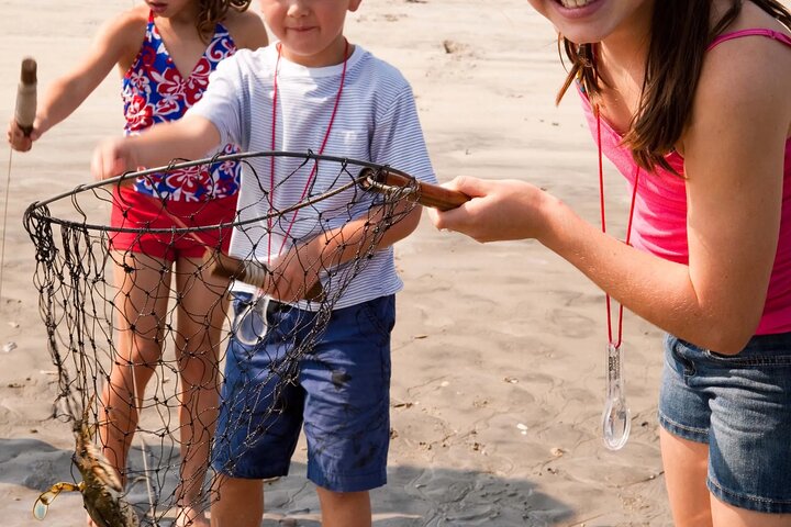 Blue Crabbing Excursion