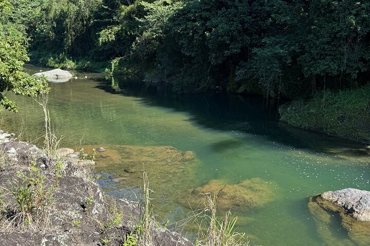 Hidden Gems of the Central Mountains: Tropical Forest Waterfalls