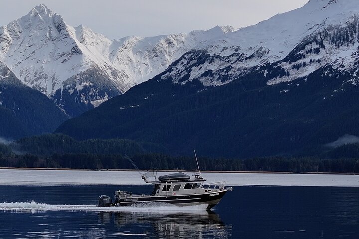 Sitka Premier Whale Watching and Wildlife Tour