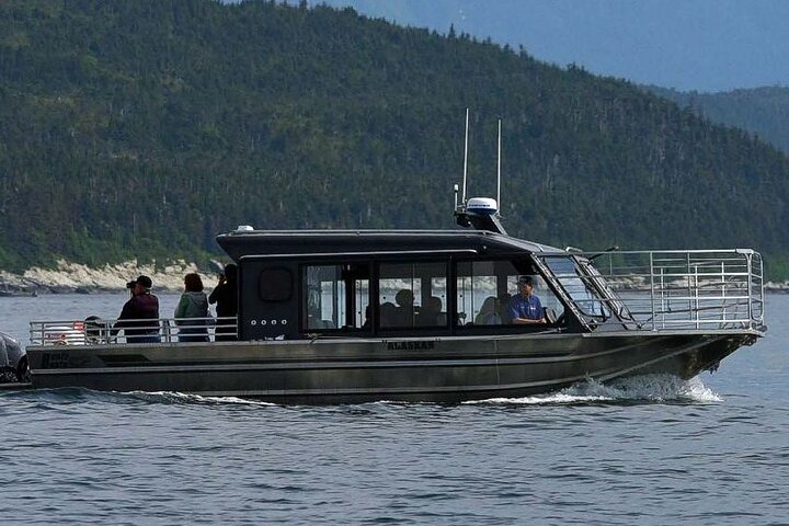 Sitka Premier Whale Watching and Wildlife Tour