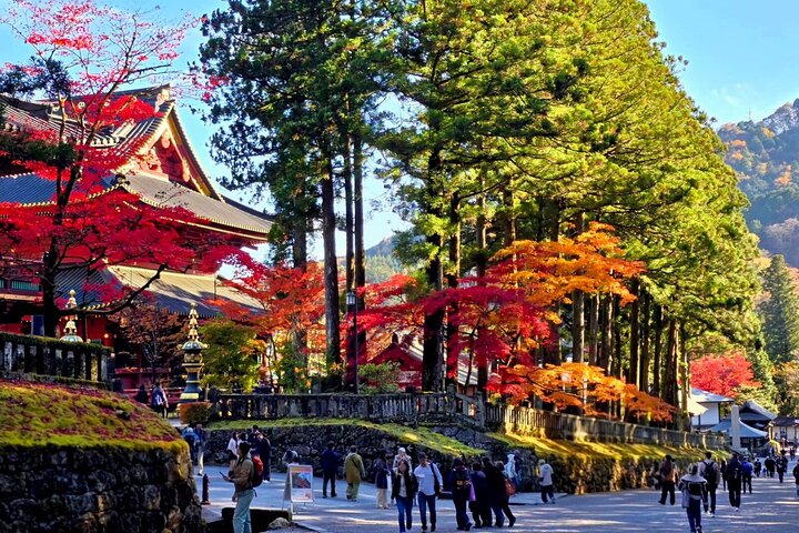 Nikko World Heritage One Day Tour from Tokyo
