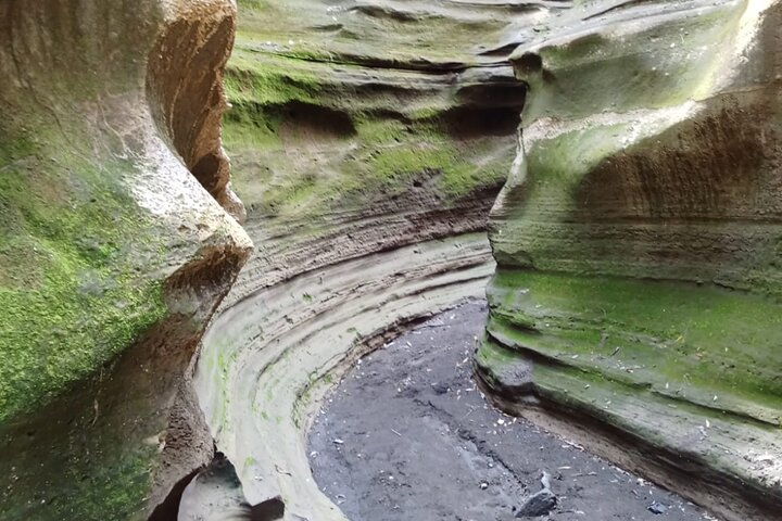 Nairobi: Hell's Gate National Park & Lake Naivasha Day Trip