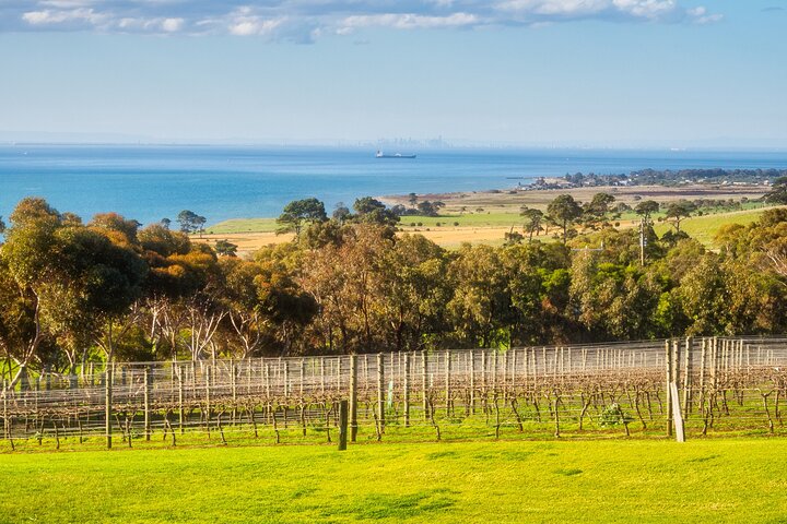Private Shore Tour: Bellarine Peninsula Wine Experience