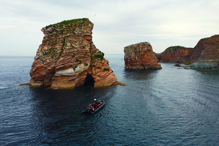 Discover the essentials of the Basque coast by boat