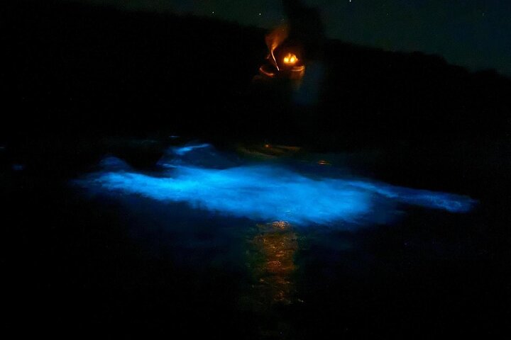 Unforgettable One Day Bioluminescent Kayak Adventure in Vieques