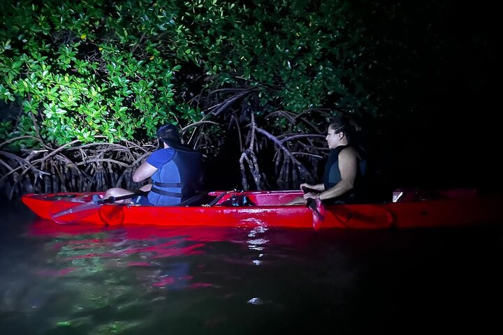 Unforgettable One Day Bioluminescent Kayak Adventure in Vieques