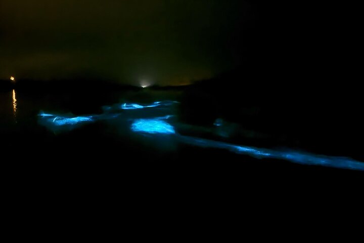 Unforgettable One Day Bioluminescent Kayak Adventure in Vieques