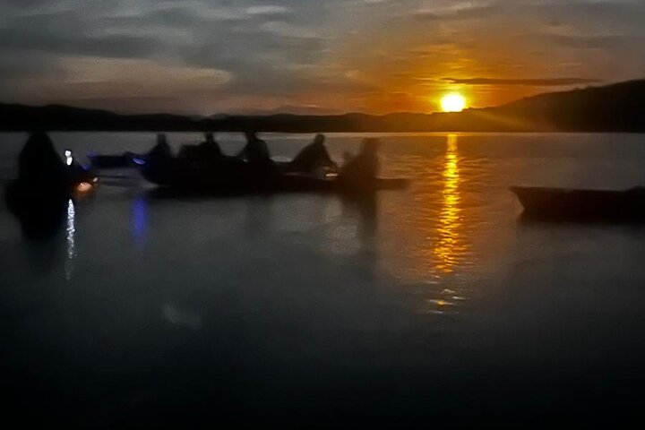 Unforgettable One Day Bioluminescent Kayak Adventure in Vieques